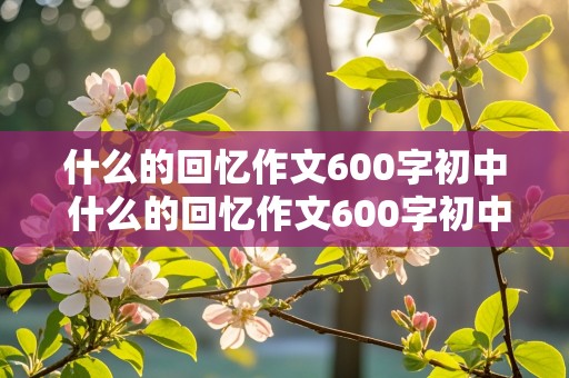 什么的回忆作文600字初中 什么的回忆作文600字初中记叙文