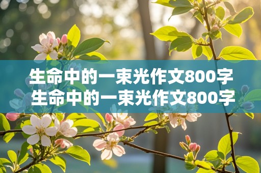 生命中的一束光作文800字 生命中的一束光作文800字高中