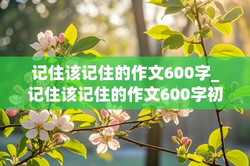 记住该记住的作文600字_记住该记住的作文600字初中