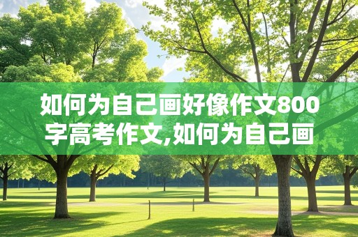 如何为自己画好像作文800字高考作文,如何为自己画好像作文800字高考作文题目