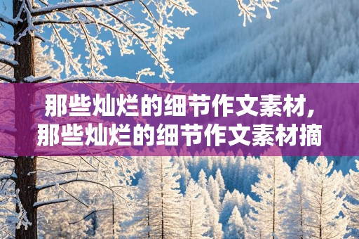 那些灿烂的细节作文素材,那些灿烂的细节作文素材摘抄