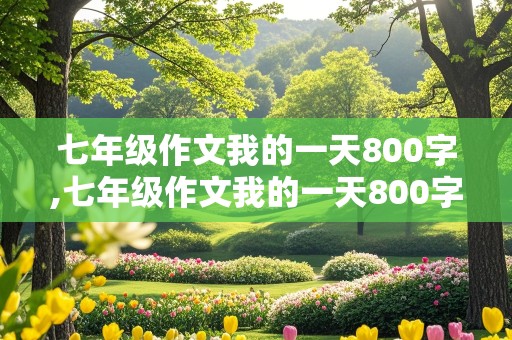 七年级作文我的一天800字,七年级作文我的一天800字左右