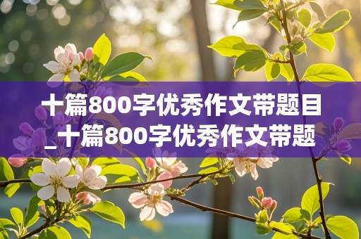 十篇800字优秀作文带题目_十篇800字优秀作文带题目记叙文