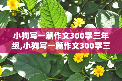 小狗写一篇作文300字三年级,小狗写一篇作文300字三年级上册