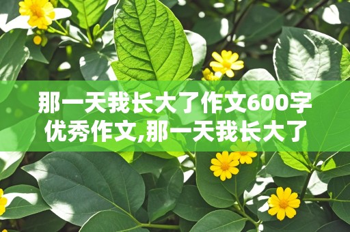 那一天我长大了作文600字优秀作文,那一天我长大了作文600字优秀作文初二