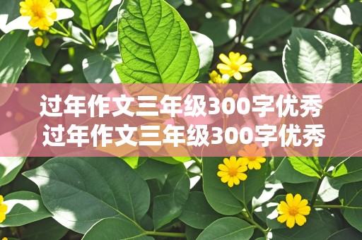 过年作文三年级300字优秀 过年作文三年级300字优秀怎么写