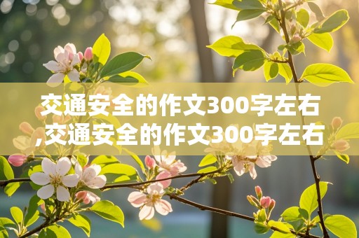 交通安全的作文300字左右,交通安全的作文300字左右三年级