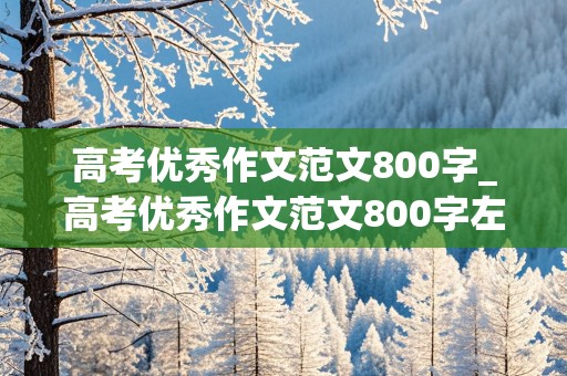 高考优秀作文范文800字_高考优秀作文范文800字左右