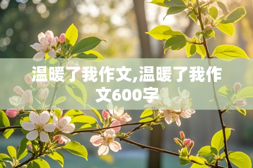 温暖了我作文,温暖了我作文600字