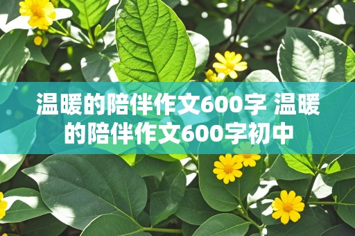 温暖的陪伴作文600字 温暖的陪伴作文600字初中