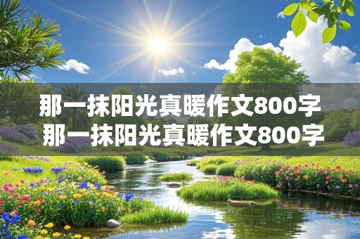 那一抹阳光真暖作文800字 那一抹阳光真暖作文800字初中