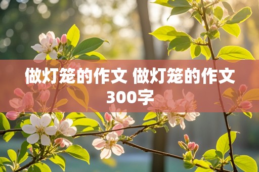 做灯笼的作文 做灯笼的作文300字