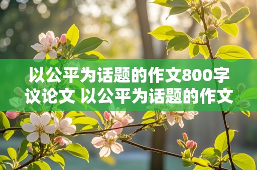 以公平为话题的作文800字议论文 以公平为话题的作文800字议论文题目