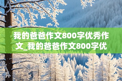 我的爸爸作文800字优秀作文_我的爸爸作文800字优秀作文初中