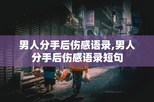 男人分手后伤感语录,男人分手后伤感语录短句