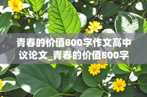 青春的价值800字作文高中议论文_青春的价值800字作文高中议论文素材