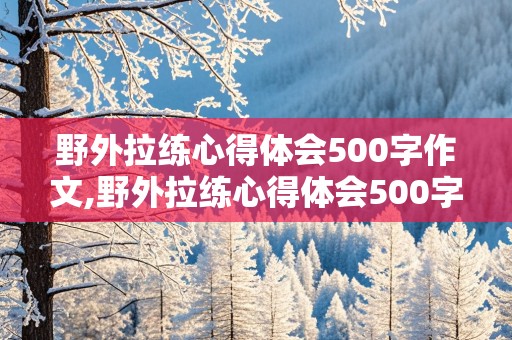 野外拉练心得体会500字作文,野外拉练心得体会500字作文怎么写