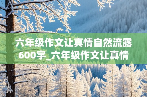 六年级作文让真情自然流露600字_六年级作文让真情自然流露600字激动