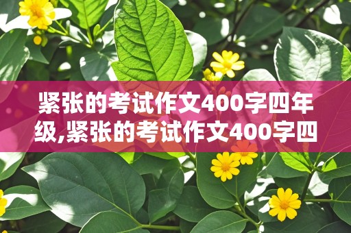 紧张的考试作文400字四年级,紧张的考试作文400字四年级上册