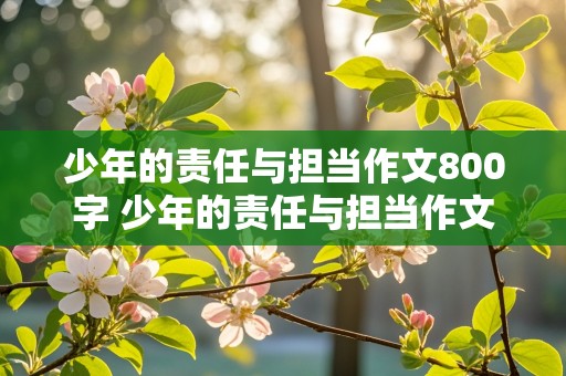 少年的责任与担当作文800字 少年的责任与担当作文800字高中