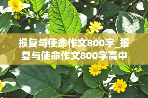 报复与使命作文800字_报复与使命作文800字高中