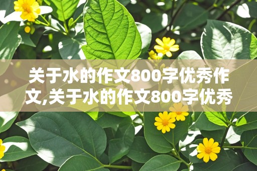 关于水的作文800字优秀作文,关于水的作文800字优秀作文高中