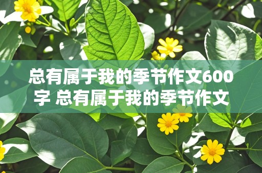 总有属于我的季节作文600字 总有属于我的季节作文600字夏天