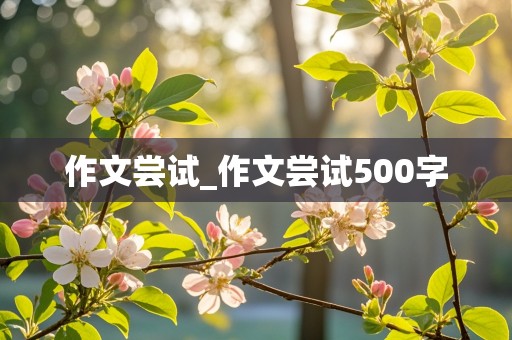 作文尝试_作文尝试500字