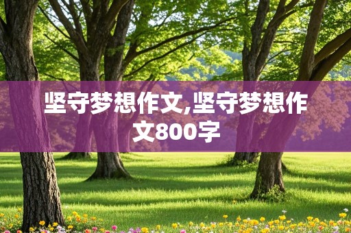 坚守梦想作文,坚守梦想作文800字