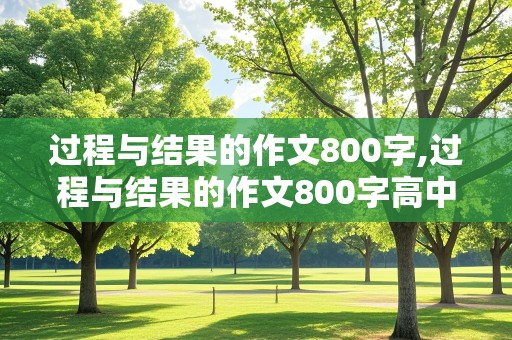 过程与结果的作文800字,过程与结果的作文800字高中