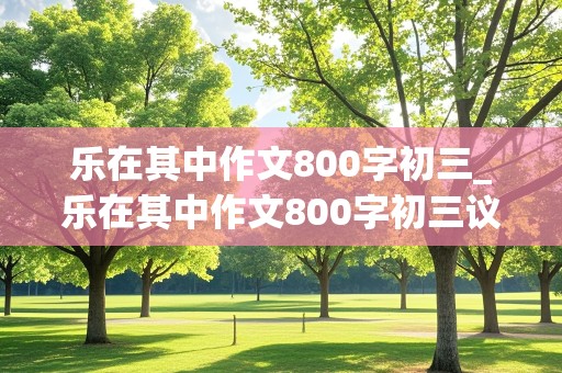 乐在其中作文800字初三_乐在其中作文800字初三议论文范文