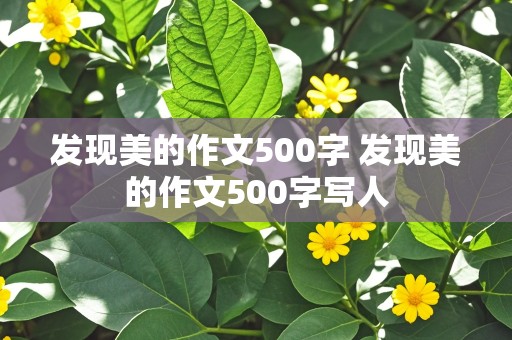 发现美的作文500字 发现美的作文500字写人