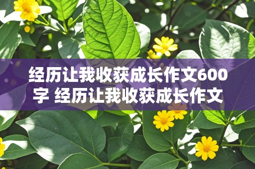 经历让我收获成长作文600字 经历让我收获成长作文600字初二