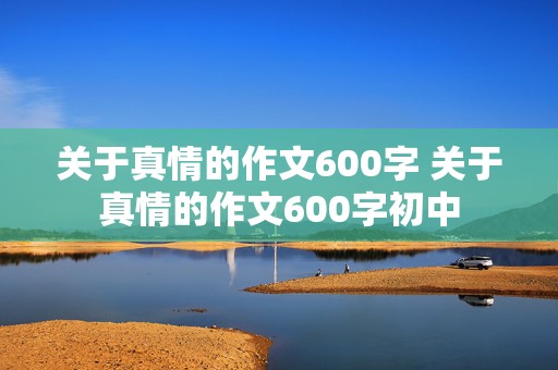 关于真情的作文600字 关于真情的作文600字初中