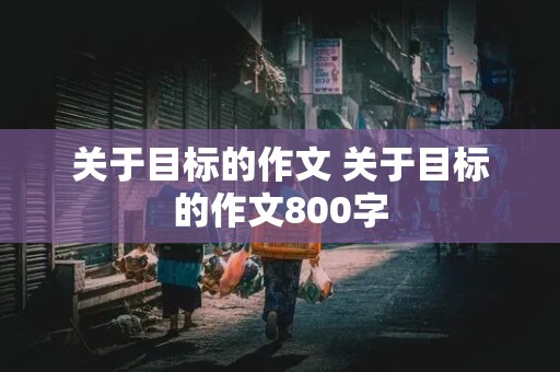 关于目标的作文 关于目标的作文800字