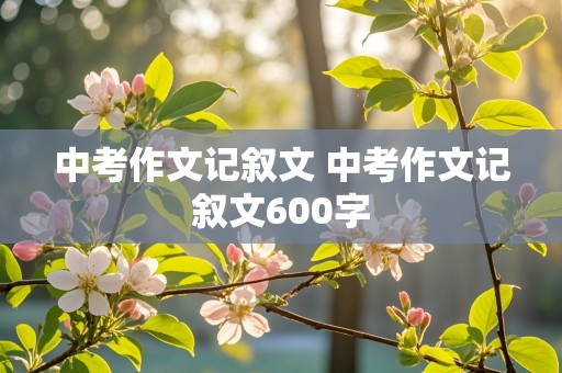 中考作文记叙文 中考作文记叙文600字