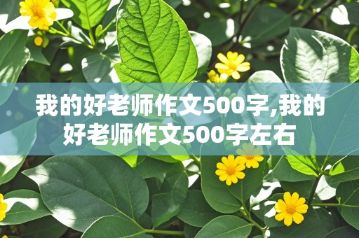 我的好老师作文500字,我的好老师作文500字左右