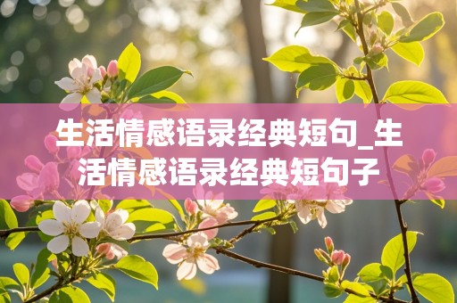 生活情感语录经典短句_生活情感语录经典短句子