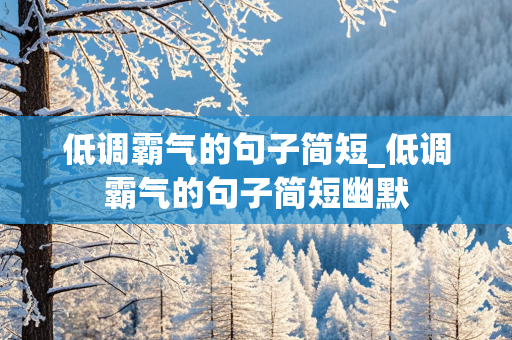 低调霸气的句子简短_低调霸气的句子简短幽默