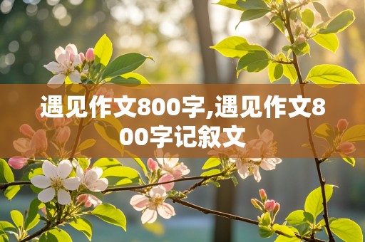 遇见作文800字,遇见作文800字记叙文