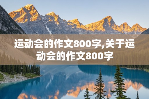 运动会的作文800字,关于运动会的作文800字