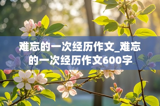 难忘的一次经历作文_难忘的一次经历作文600字