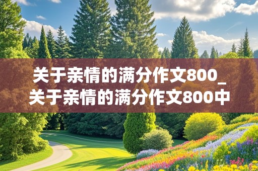 关于亲情的满分作文800_关于亲情的满分作文800中招