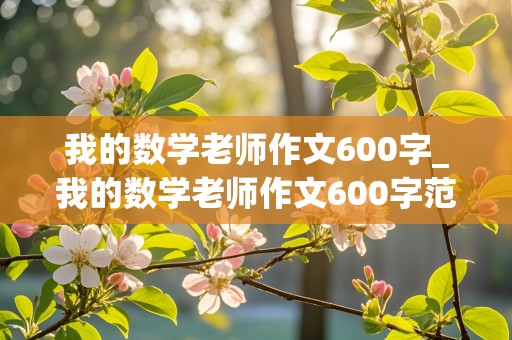 我的数学老师作文600字_我的数学老师作文600字范文