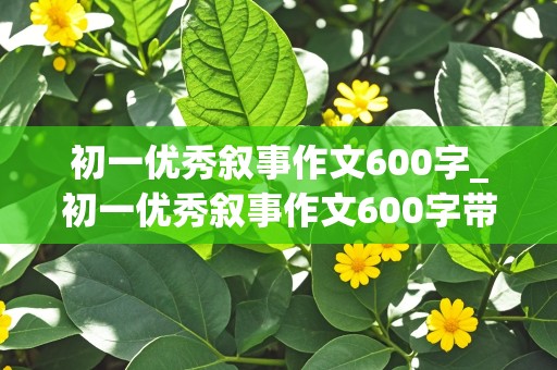 初一优秀叙事作文600字_初一优秀叙事作文600字带题目