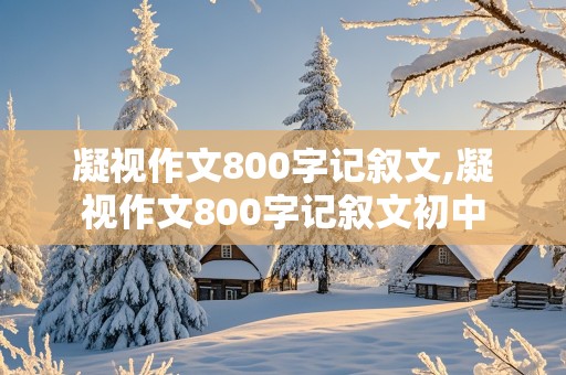 凝视作文800字记叙文,凝视作文800字记叙文初中