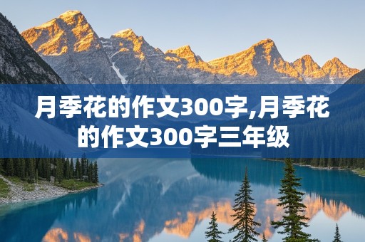 月季花的作文300字,月季花的作文300字三年级