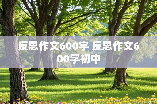 反思作文600字 反思作文600字初中