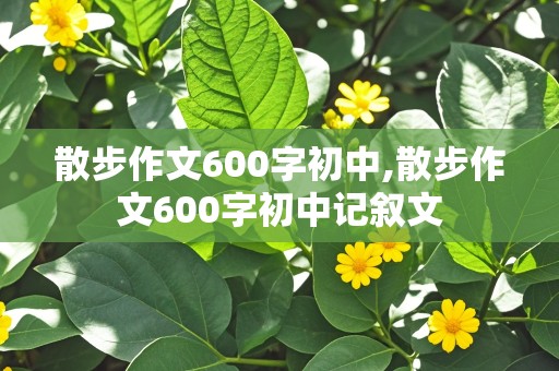 散步作文600字初中,散步作文600字初中记叙文