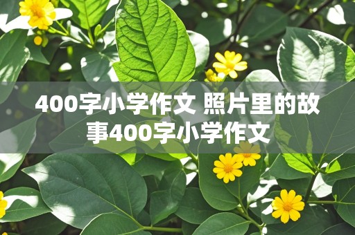 400字小学作文 照片里的故事400字小学作文